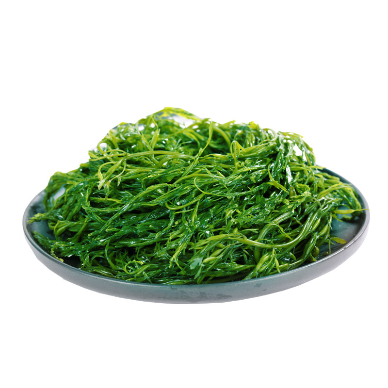 5kg 海草鞭炮竹海带海白菜火锅食材 海藻海草长son【图片 价格 品牌