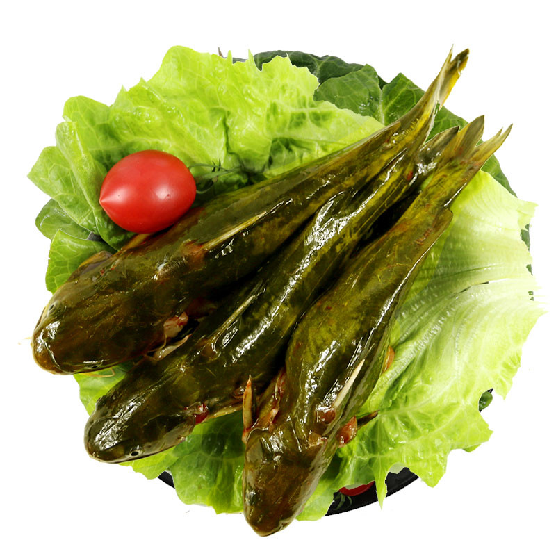 大菜园黄刺鱼昂刺鱼黄骨鱼汪刺鱼黄颡鱼嘎鱼顺丰快递3斤