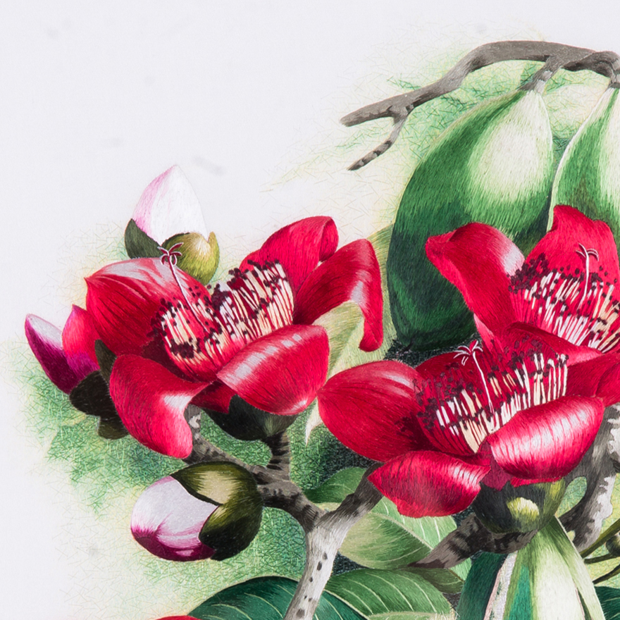 中级美术师张琳苏绣真丝《木棉花》平针绣 【天工艺品】