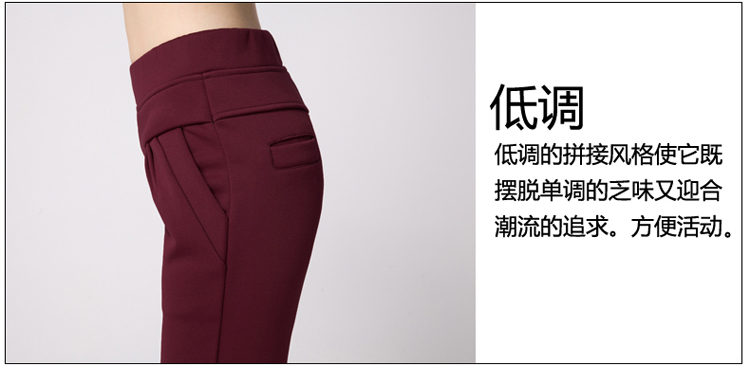 简迪卡 2015哈伦裤加绒加厚冬季新款女裤子女韩版大码显瘦小脚裤8835-1 黑色 L