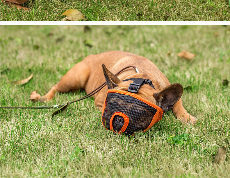 法国斗牛犬牛牛法斗恶霸京巴嘴套面罩 可调节止吠器狗嘴防叫狗防咬狗