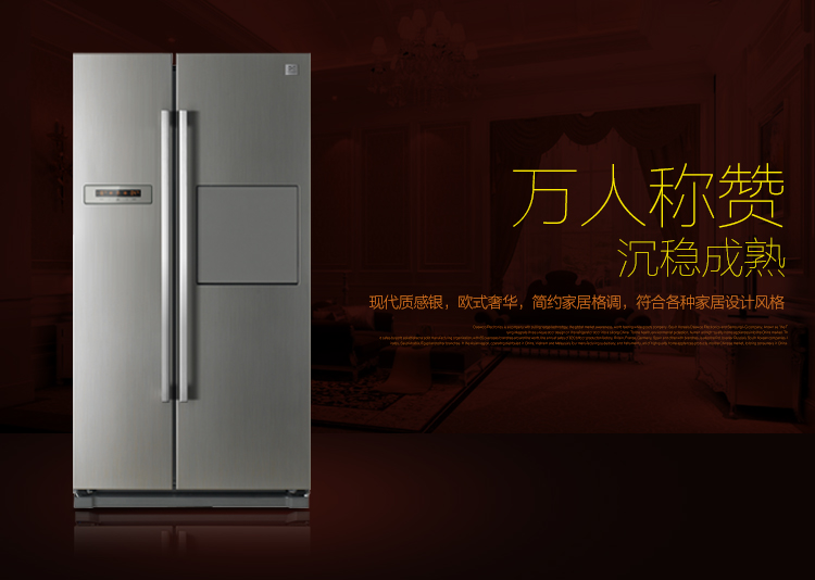 大宇（Daewoo)FRN-X22H2 577升对开门风冷无霜超大容量冰箱  （银色）