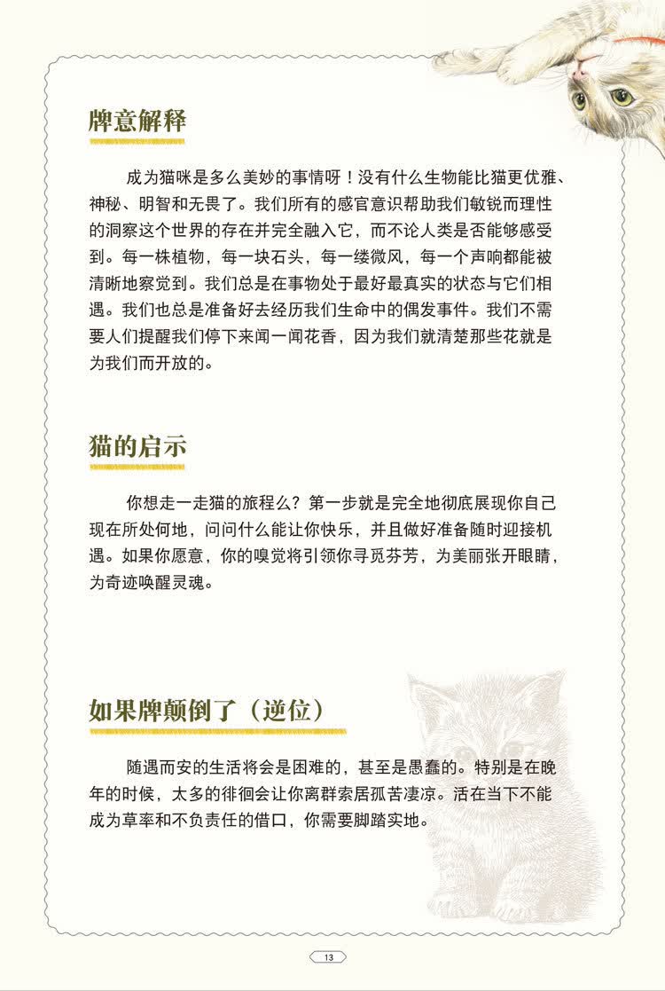 神秘的猫魅塔罗牌猫咪全套塔罗全套说明书牌袋套装进口桌游