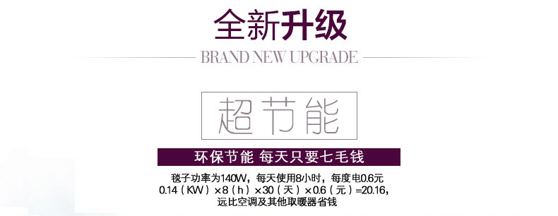 凤凰电热毯 床笠式电褥子智能调温电暖毯双人双控抗菌面料暖身毯 200cm*180cm