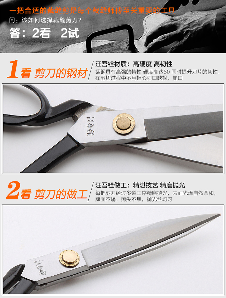 汪吾铨  服装裁缝剪刀   进口专业剪10寸WWQ255