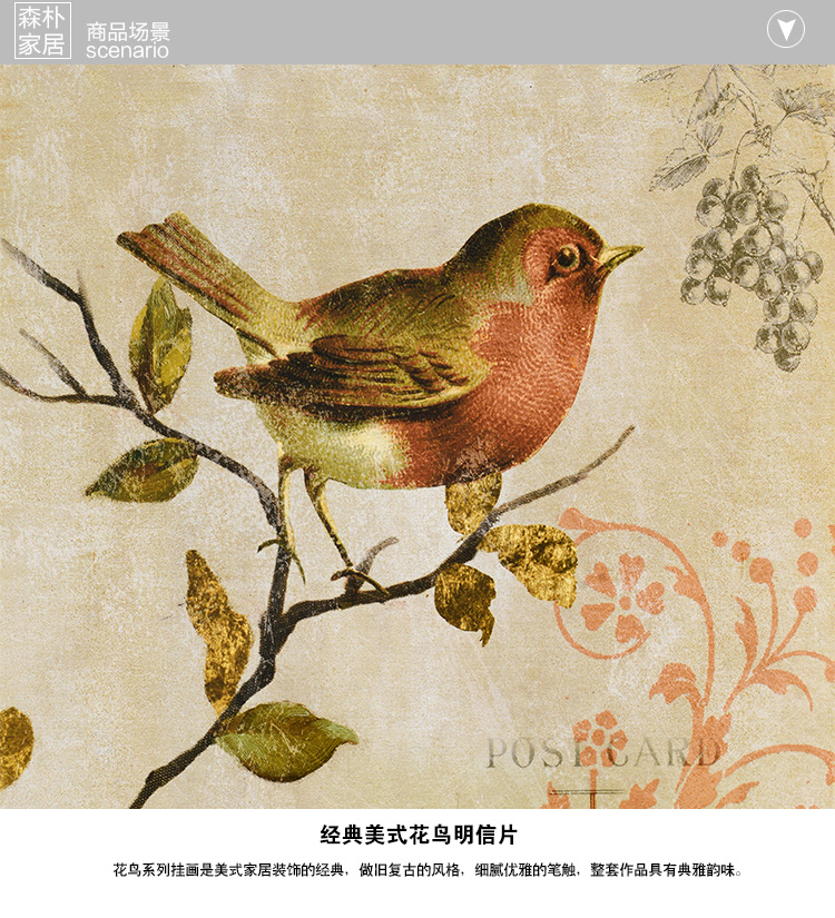 
                                        森朴 美式复古有框画客厅沙发背景墙装饰画  卧室餐厅乡村田园花鸟挂画欧式三联画 富贵金框3件套备注编号(默认发ABC3) 45*60                