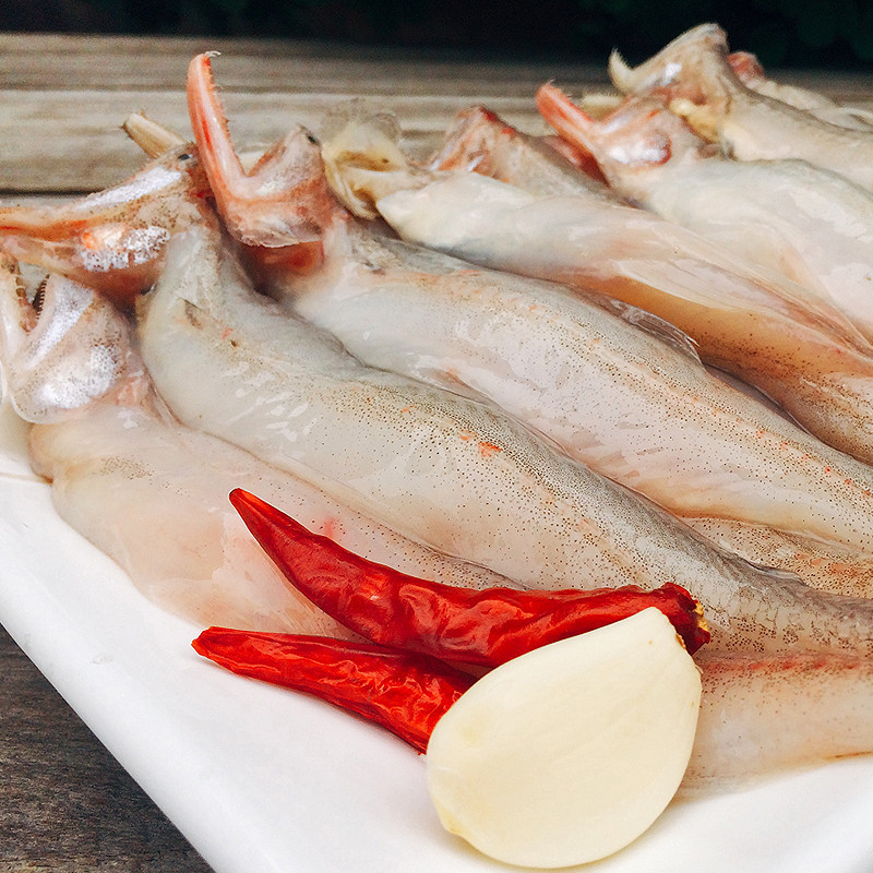 大菜园 九肚鱼 新鲜龙头鱼 鲜活豆腐鱼 水龙鱼 水潺鱼 顺丰 5斤