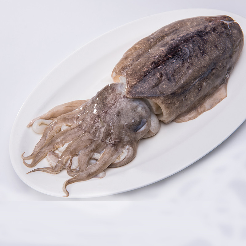 大墨鱼 运输墨斗鱼 大新鲜鱼 鲜活新鲜 保鲜乌贼深海 速冻目鱼 礼盒