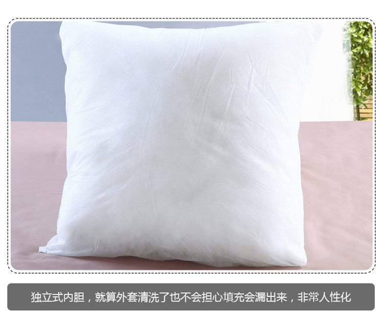 蔓柯 短毛绒柔软创意可爱抱枕套沙发靠垫沙发抱枕套 靠垫 创意家居饰品 生日礼物 短毛绒1号 45cm*45cm