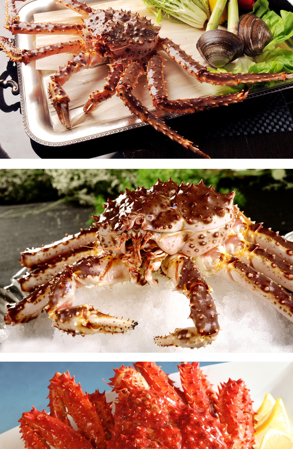 京鲜生【活鲜】智利鲜活帝王蟹 礼盒装 2kg左右【图片 价格 品牌 报价