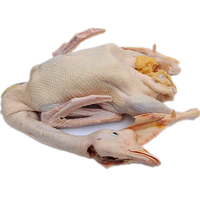鹅肉 新鲜大鹅 大鹅肉 土鹅 仔鹅 活鹅 现杀发货 顺丰 3.