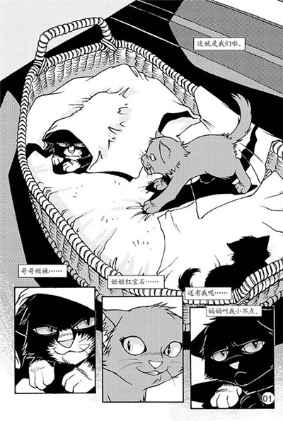 柯林斯出版社,作为猫武士系列图书的编辑.