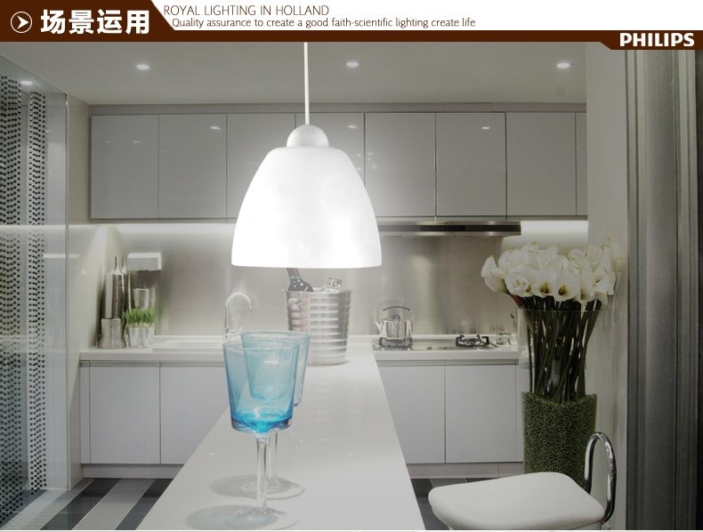 【双旦狂欢】飞利浦led吊灯 现代简约创意客厅欧式餐厅吊灯 欣易单头吊灯 白色 不含光源