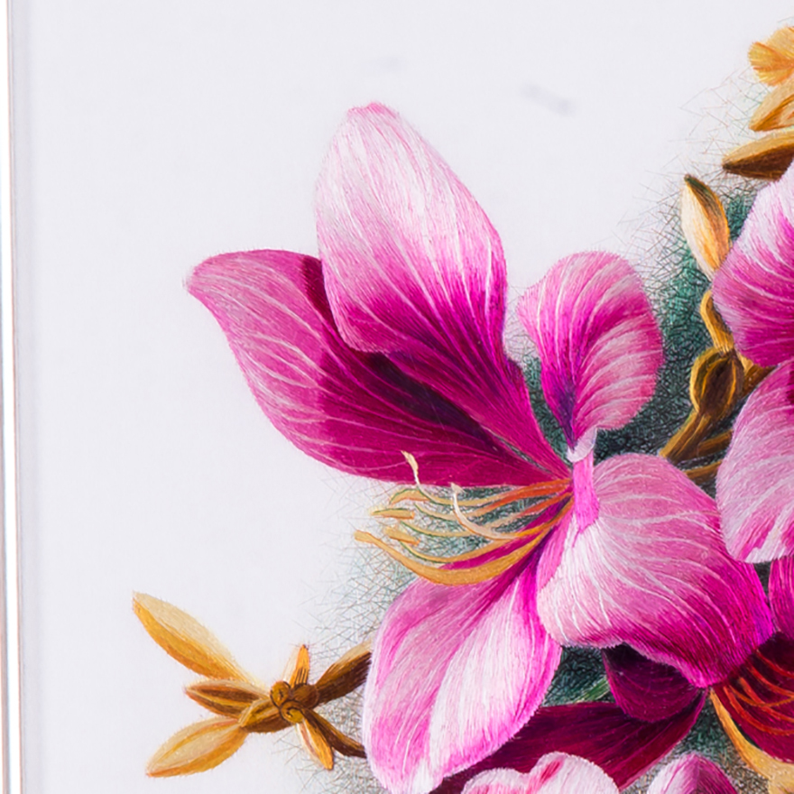 中级美术师张琳苏绣真丝《蝴蝶兰》平针绣 【天工艺品】