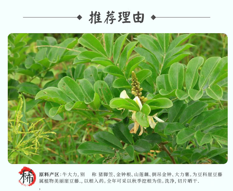 世斛堂 牛大力干货 中药材大力薯广西野生山莲藕倒吊金钟 500g新鲜