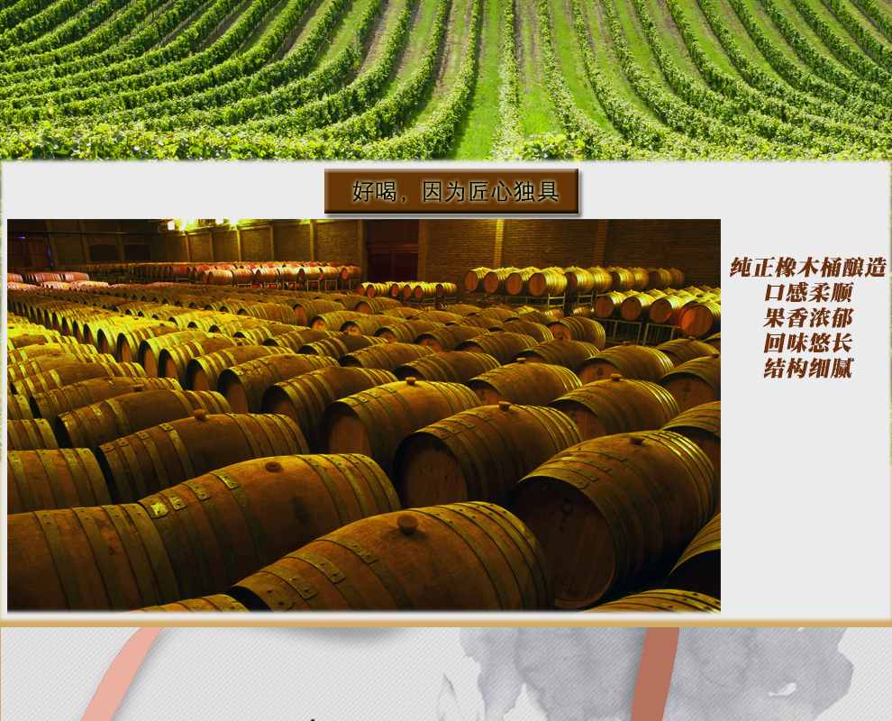 澳洲进口金袋鼠干红葡萄酒套装750ML*6瓶【下