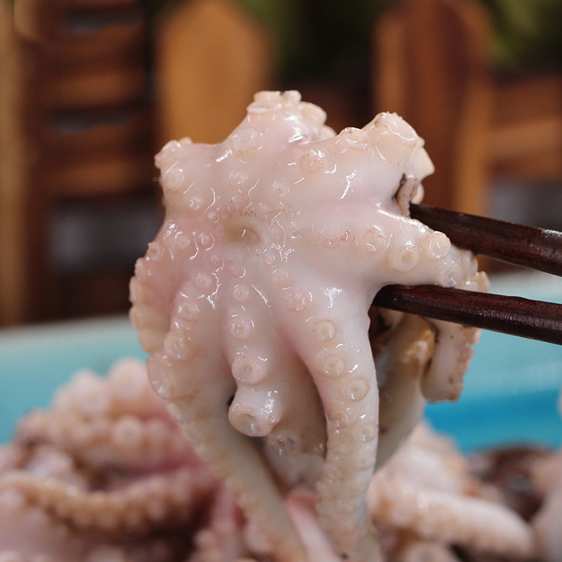 大菜园八爪鱼新鲜小章鱼小八爪鱼顺丰小八带鱼短腿小八爪鱼25kg