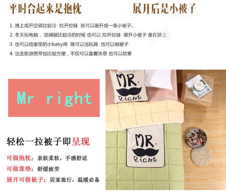 
                                        欣纯家居 多用棉麻抱枕被 汽车办公室两用靠垫45*45cm 天生一对                