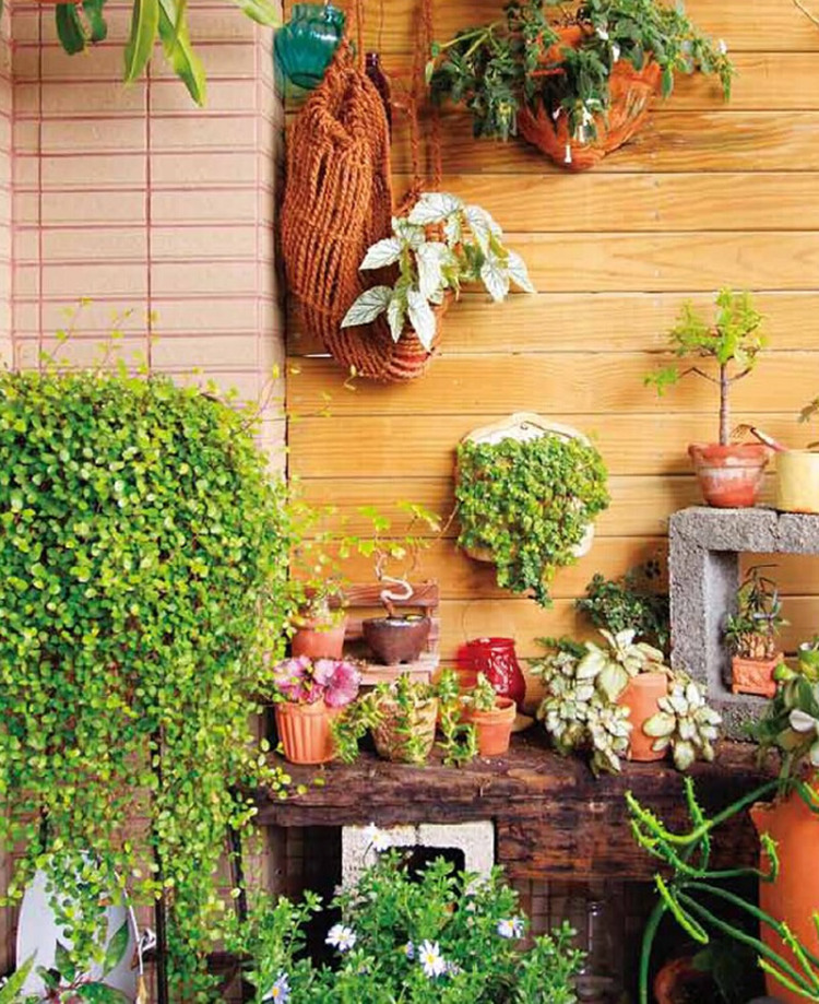 阳台种花与景观设计(珍藏版)