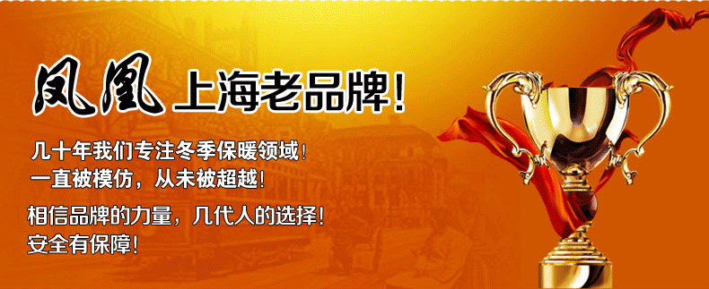 凤凰电热毯 床笠式电褥子智能调温电暖毯双人双控抗菌面料暖身毯 200cm*180cm