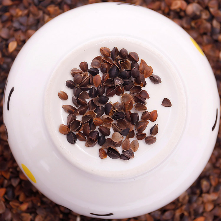 荞麦壳决明子枕头单人枕芯填充物散装甜壳荞麦皮小决明j简单内胆家得