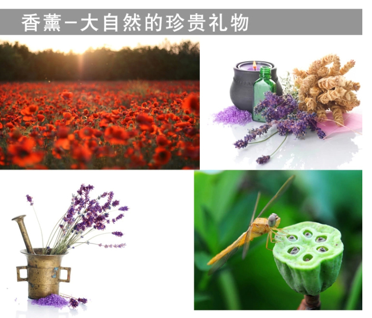 
                                        西尚玫瑰 天然干花香包香囊香袋车用衣柜香薰室内厕所卫生间熏香 薰衣草香-紫色-衣服状                