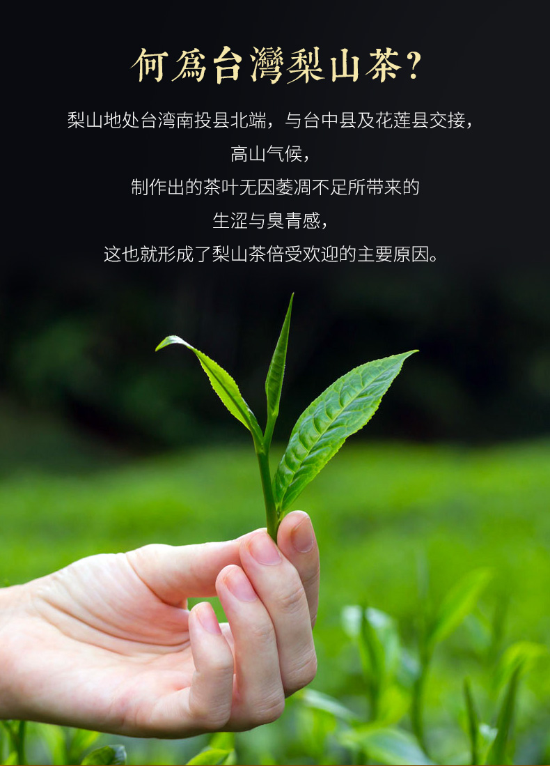 晶鼎茶博士台湾梨山茶原装特级高山茶进口乌龙茶茶叶600克礼盒装可冷