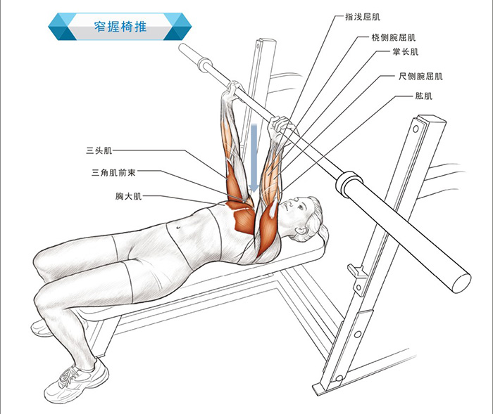 游泳运动系统训练