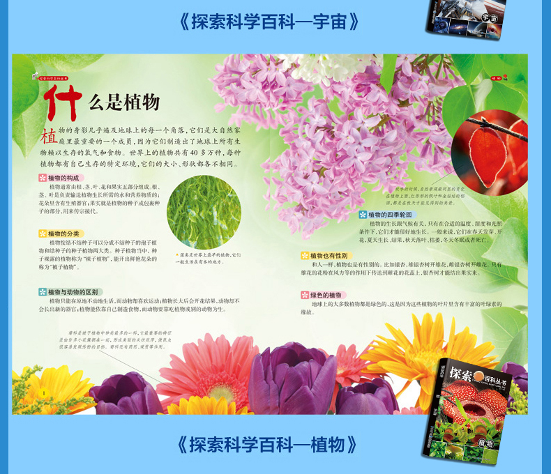 全13本探索科学百科丛书成长不烦恼 办法总比问题多11 14岁十万个为什么小学生宇宙恐龙动物海洋揭秘 摘要书评试读 京东图书