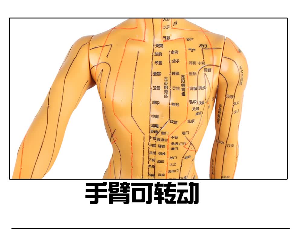 更多参数>>适用部位:全身国产/进口:国产商品毛重:1.