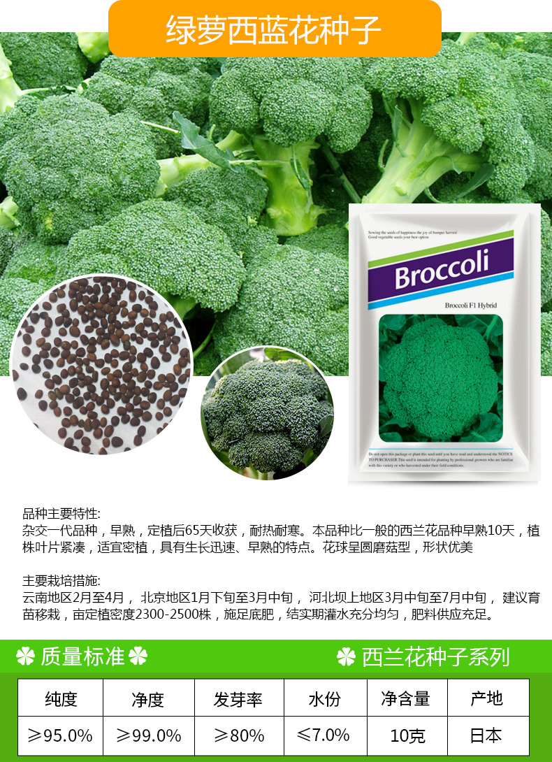 凤鸣雅世蔬菜种子西兰花种子绿萝西兰花炎秀西兰花种子优秀西蓝花种子