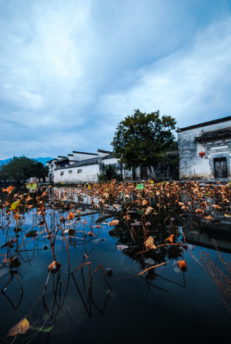 白落梅,隐世才女,栖居江南,简单自持,心似兰草,文字清淡.