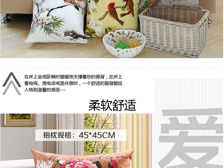 
                                        北极绒 抱枕靠垫 办公汽车护腰枕垫抱枕午睡枕芯 猫先生 45*45cm                
