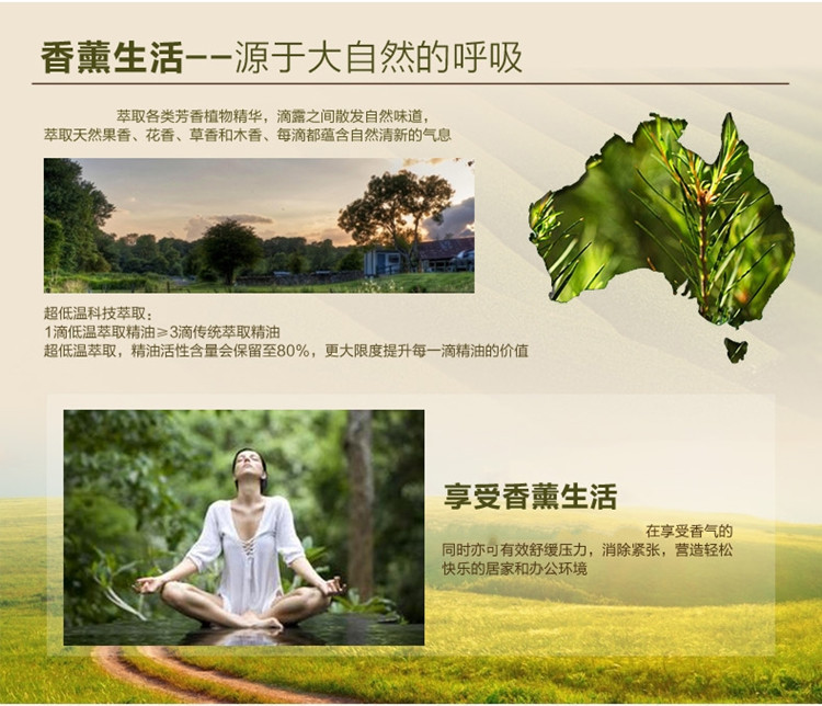 
                                        芳香乐  香薰精油20毫升 单方精油 香薰灯香薰机加湿器专用精油 玫瑰                
