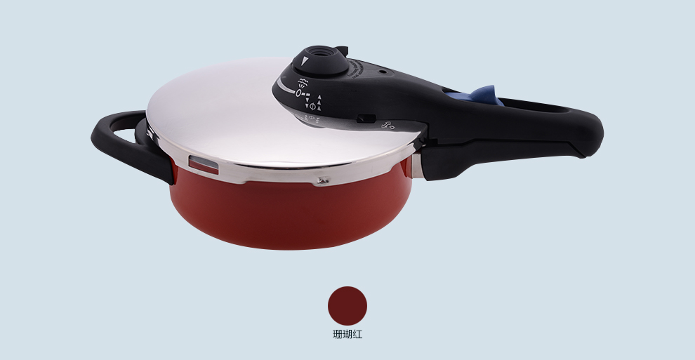 Kochstar考斯达 德国进口珐琅搪瓷压力指示器高压锅 3L 22cm 珊瑚红