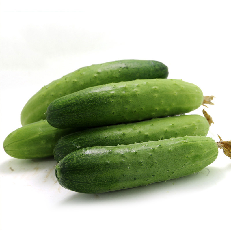 蔡家洼大货栈黄瓜密云本地7寸短黄瓜粗黄瓜可生吃新鲜蔬菜约15kg