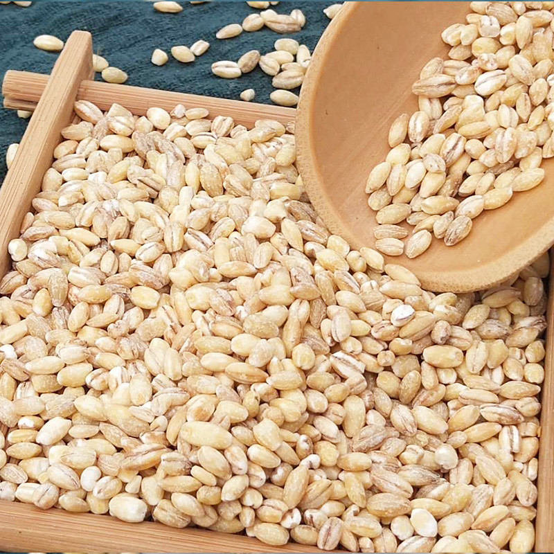 青樱红荔农家小麦仁去皮小麦米脱壳小麦仁五谷杂粮粗粮粥大麦仁米煮粥