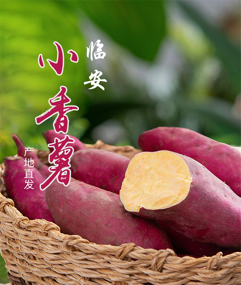 临安天目山小香薯迷你手指薯25kg新鲜黄心红薯地瓜山芋