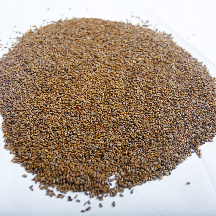 荞麦壳决明子枕头单人枕芯填充物散装甜壳荞麦皮小决明j简单内胆家得