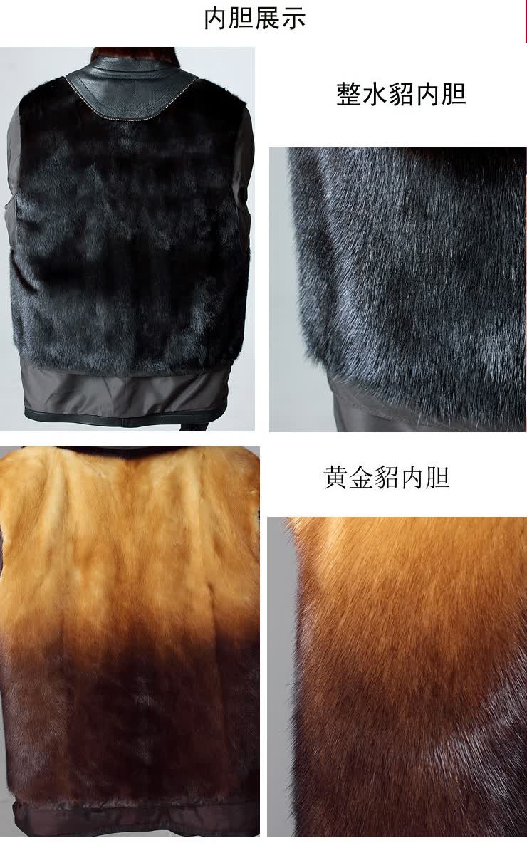 robertosclub 海宁真皮皮衣男皮毛一体尼克服黄金貂内胆水貂领皮草