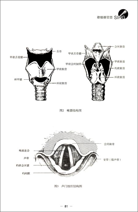 美声唱法区别于其他唱法的最主要特点就是混合声区唱