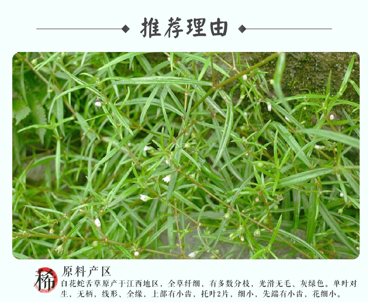 世斛堂半枝莲韩信草半支连赶山鞭半只连泡茶喝的可搭配500g百花中药材