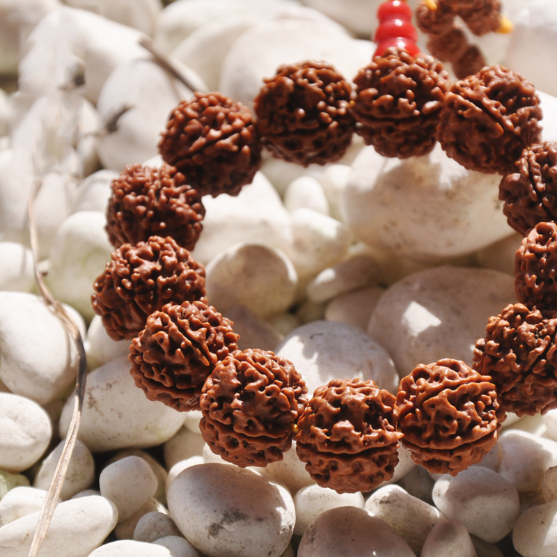 尚鱼天然尼泊尔五瓣大金刚菩提子爆肉龙纹佛珠手串手链 20mm13颗