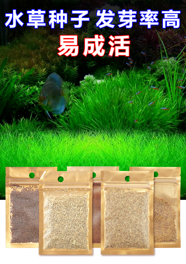 水草种植泥 黑泥水草泥 水晶虾泥 鱼缸造景底砂 水草种子 单独造景杯