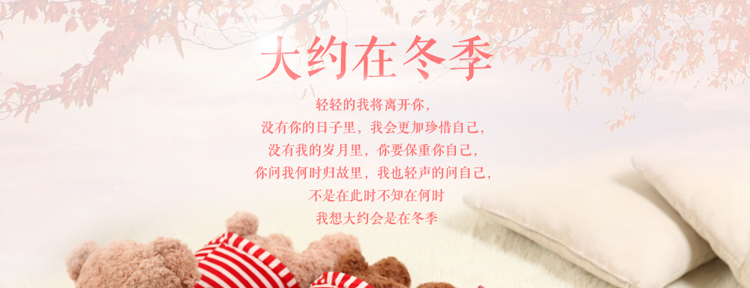 
                                        惠通热水袋已注水水电分离防爆电暖宝充电暖水袋暖手宝双插手暖宝热水袋卡通玩 309-4趴资泰迪熊-浅棕                