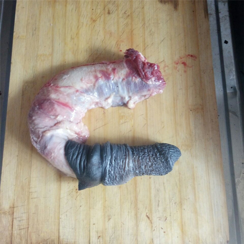 新鲜驴鞭带蛋驴鞭驴腰子25kg不带皮腿肉顺丰