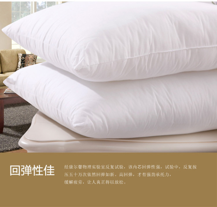 
                                        康尔馨（CARESEEN）靠垫芯 靠枕芯 抱枕芯 多尺寸 五星级酒店家纺 靠垫 白色 70*70cm/1200g                