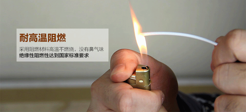 凤凰电热毯 床笠式电褥子智能调温电暖毯双人双控抗菌面料暖身毯 200cm*180cm