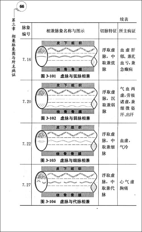 图书基本信息 图书名称 李时珍脉象学习图谱 作者 李申清 定价 15.