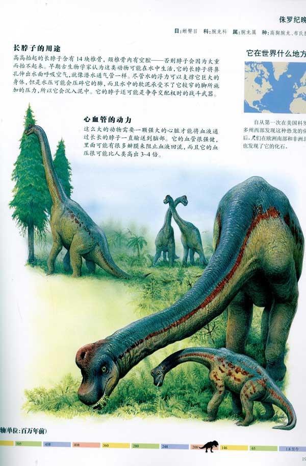 目录 引言黑丘龙瑞拖斯龙峨眉龙鲸龙似鲸龙沟椎龙叉龙梁龙盘足龙简棘